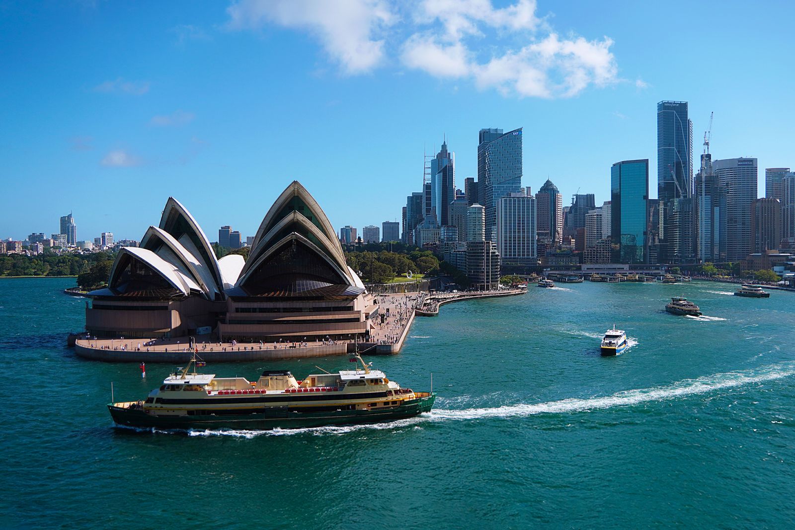 Sydney Opera House and harbour cityscape, representing UI/UX design success stories in Sydney startups